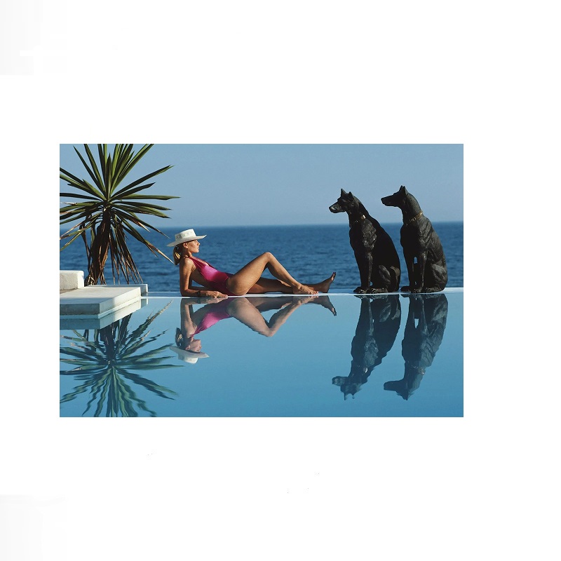 Retro Poolside Host Luxury Lif - Luxury Lifestyle Pictures recension och pris
